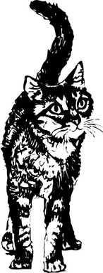 Free Stock Photo: Illustration of a cat