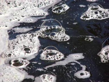 Free Stock Photo: Large bubbles floating on top of water
