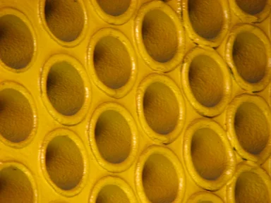 Free Stock Photo: Closeup of yellow pipe holes