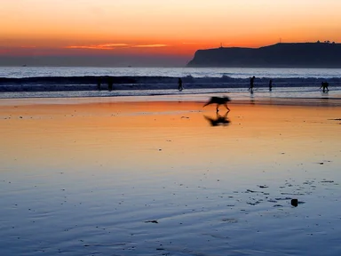 Free Stock Photo: A beach sunset
