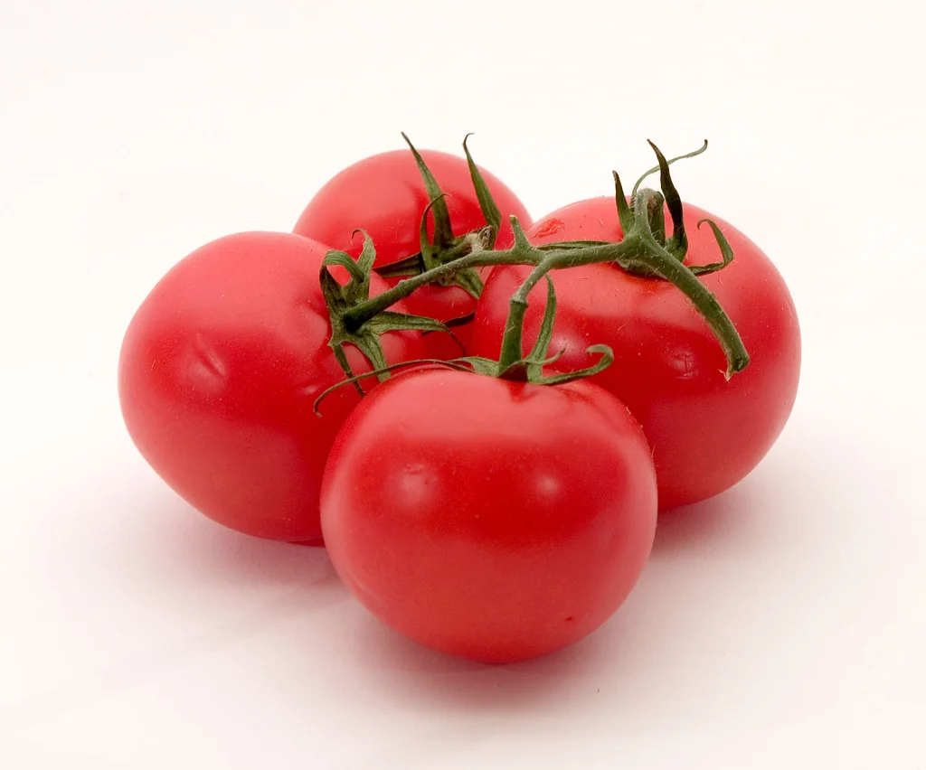 Red tomatoes isolated on a white background : Free Stock Photo