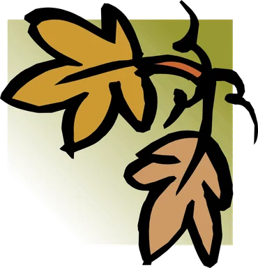 Free Stock Photo: Illustration of an upper right frame corner of leaves