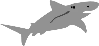 Free Stock Photo: Illustration of a shark