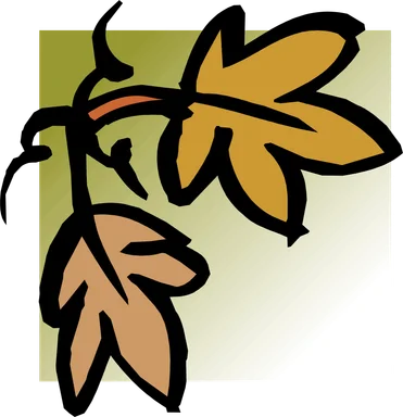 Free Stock Photo: Illustration of an upper left frame corner of leaves