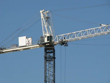 Free Stock Photo: White crane