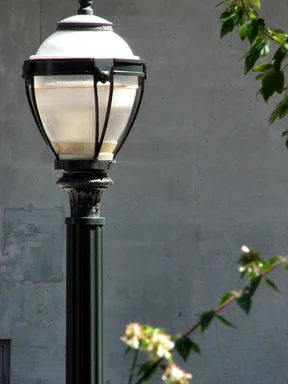 Free Stock Photo: Street lamp post