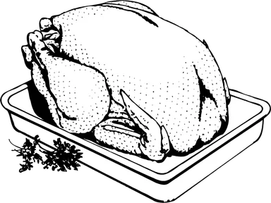 Free Stock Photo: Illustration of a turkey cooking in a pan