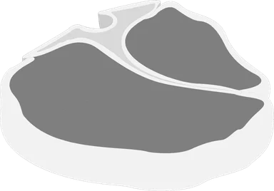 Free Stock Photo: Illustration of pork chops