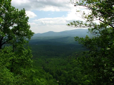 Free Stock Photo: A mountain landscape viewed through trees