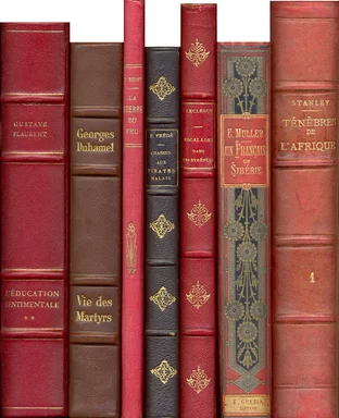 Free Stock Photo: A row of antique books