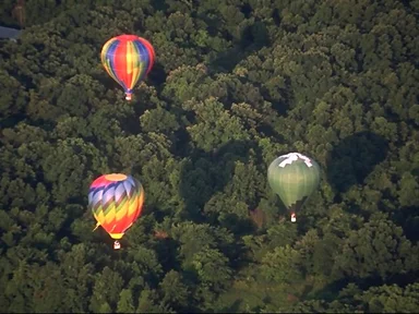 Free Stock Photo: Hot air balloons flying over trees