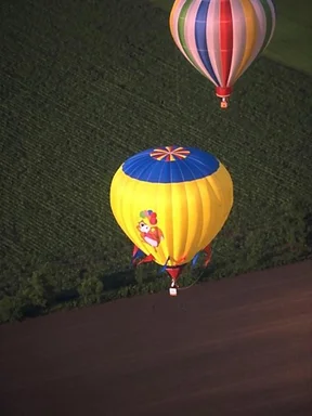Free Stock Photo: Hot air balloons flying over a field