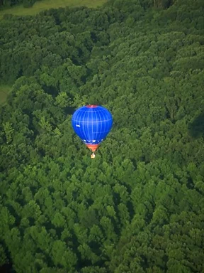 Free Stock Photo: A hot air balloon flying over trees