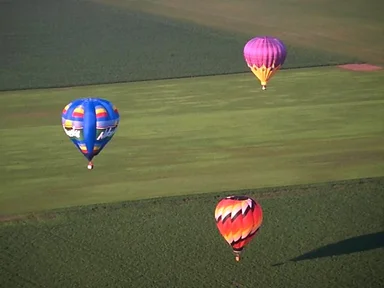 Free Stock Photo: Hot air balloons flying over a field