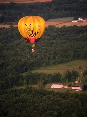 Free Stock Photo: A hot air balloon with a bee design flying over trees