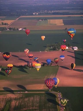 Free Stock Photo: Hot air balloons flying over a field