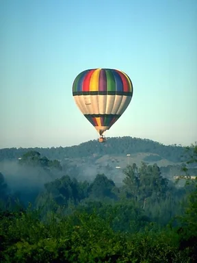 Free Stock Photo: A hot air balloon flying over trees