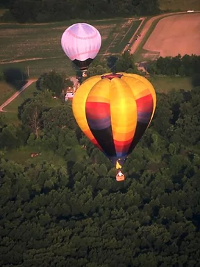 Free Stock Photo: Hot air balloons flying over trees