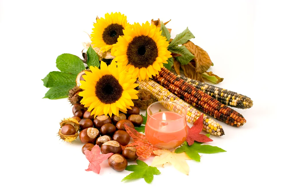 An autumn still life : Free Stock Photo