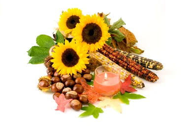 Free Stock Photo: An autumn still life