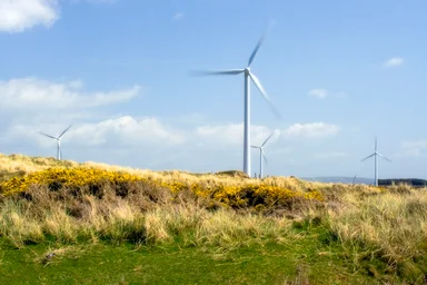 Free Stock Photo: Windmills in a field
