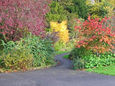 Free Stock Photo: A park in autumn
