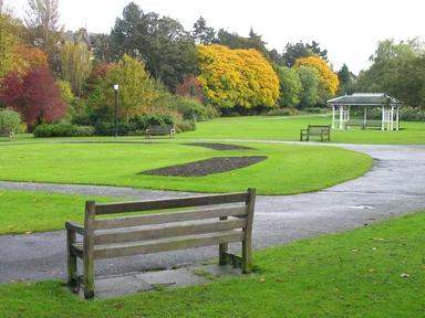 Free Stock Photo: A park in autumn