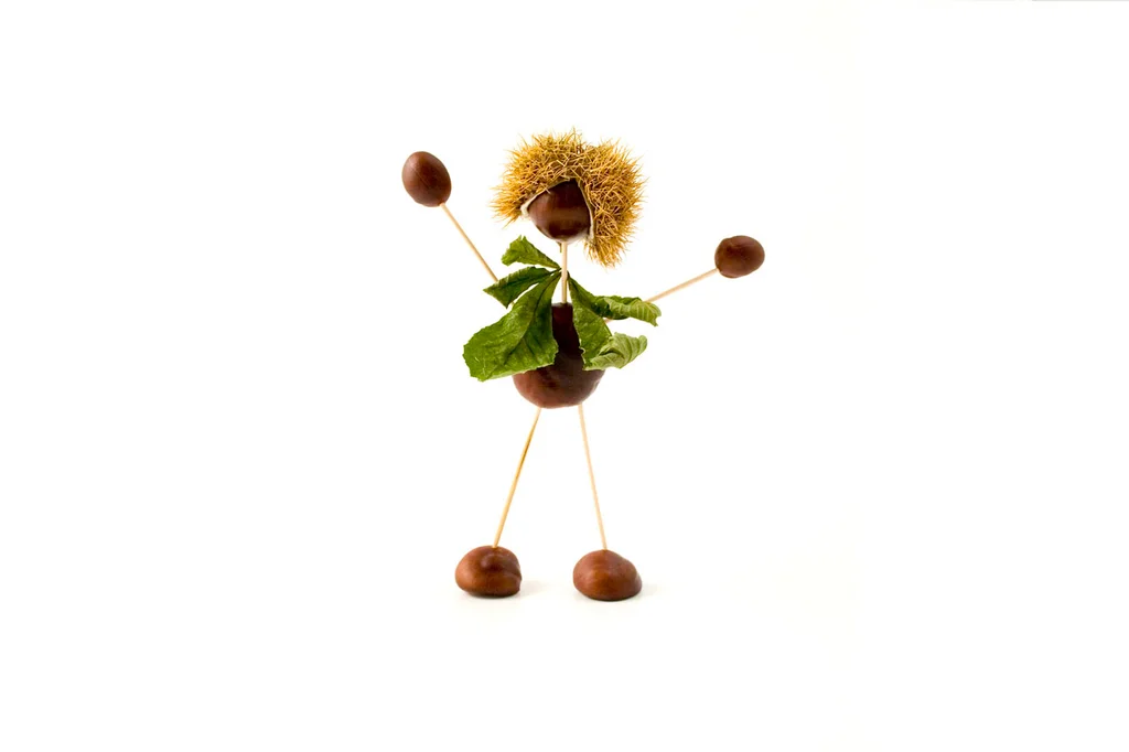 A man made out of chestnuts isolated on a white background : Free Stock Photo