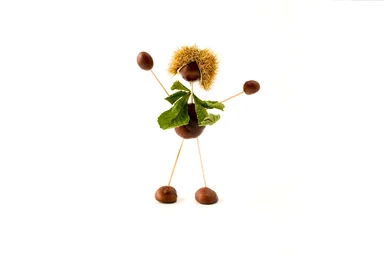 Free Stock Photo: A man made out of chestnuts isolated on a white background