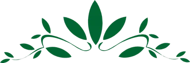 Free Stock Photo: Illustration of a green leaf design