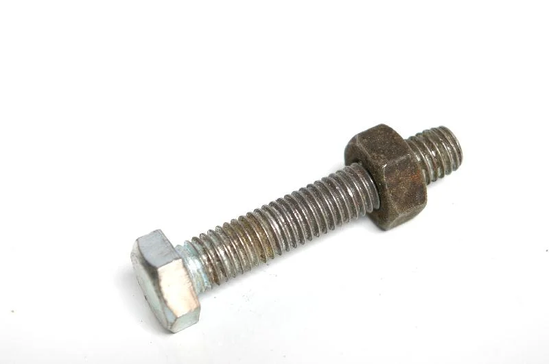 A bolt and nut isolated on a white background : Free Stock Photo