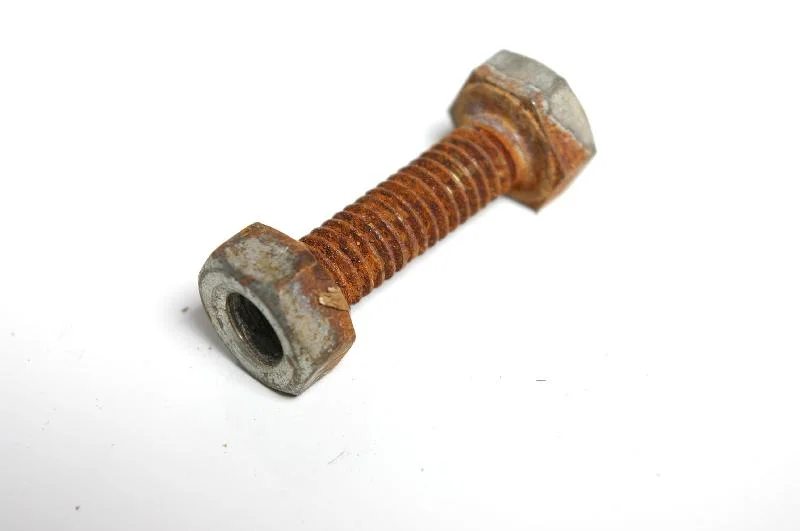 A bolt and nut isolated on a white background : Free Stock Photo