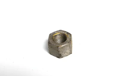 Free Stock Photo: A nut isolated on a white background