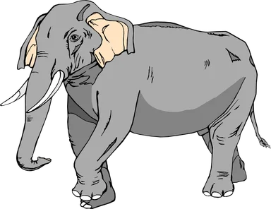 Free Stock Photo: Illustration of an elephant