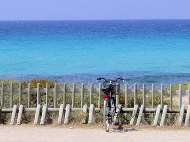 Free Stock Photo: A bike parked by the ocean