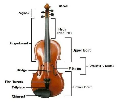 Free Stock Photo: A violin with parts described isolated on a white background
