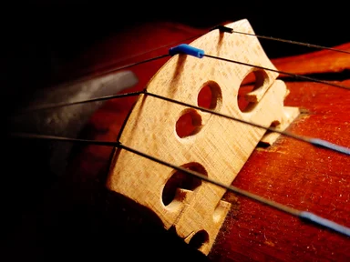 Free Stock Photo: Close-up of a violin bridge