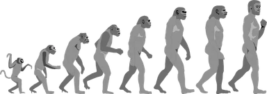 Free Stock Photo: Illustration of an evolution progression