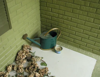 Free Stock Photo: A watering can and dried flowers