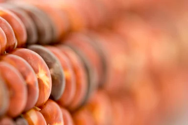 Free Stock Photo: Close-up of red corn