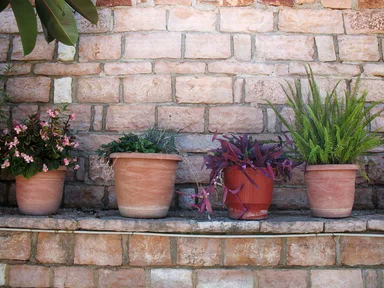 Free Stock Photo: A row of potted plants on a brick wall
