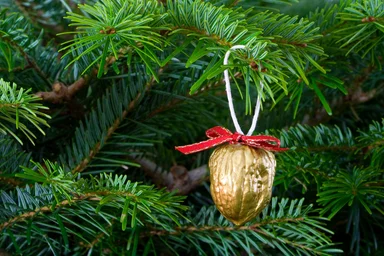 Free Stock Photo: A Christmas ornament in a tree