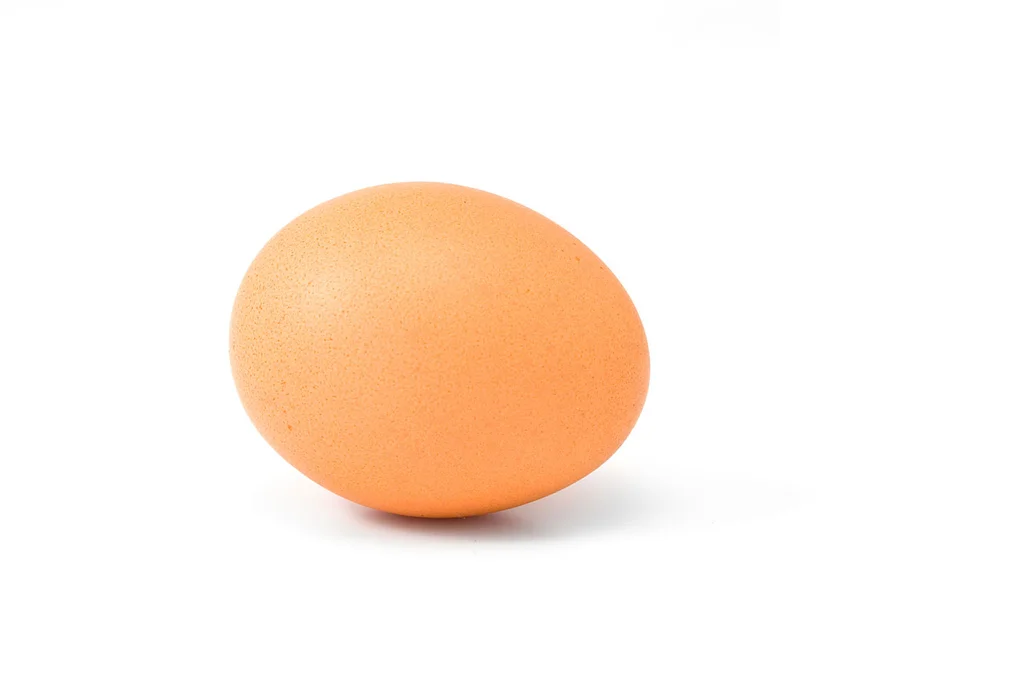 A brown egg isolated on a white background : Free Stock Photo
