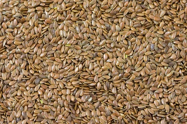 Free Stock Photo: Linen seeds