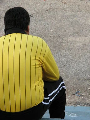 Free Stock Photo: Soccer referee