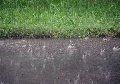 Free Stock Photo: Close-up of a sidewalk in the rain