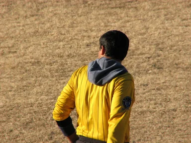 Free Stock Photo: Back of a soccer referee