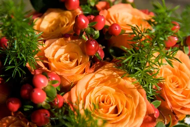 Free Stock Photo: A bouquet with orange roses