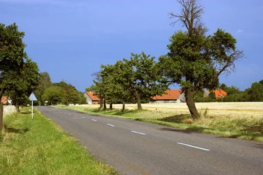 Free Stock Photo: A country road