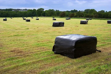 Free Stock Photo: Bales of straw on a field